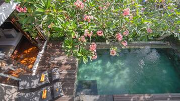 3 Bedroom Villa with Private Pool | Private pool