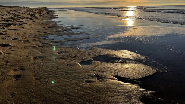 A beach with wet sand reflecting the sun, a clear sky, and distant people. - Le Chalet Kbaia Océan et Calme (Saint-Julien-en-Born)