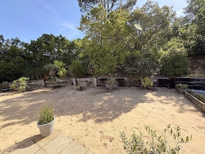 A sandy outdoor area with potted plants and a wooden fence.