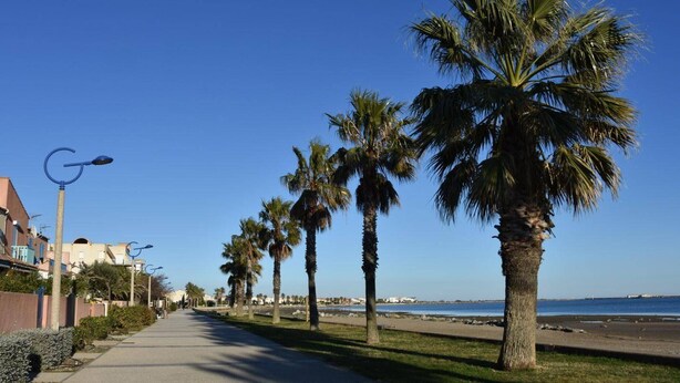 Een kustpromenade omzoomd door palmbomen en een helderblauwe lucht.