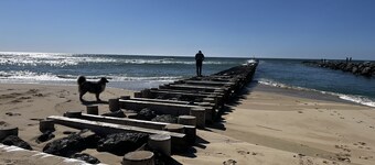 La Maison Tipasa au Coeur D'un Airial Près de Contis