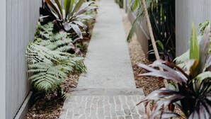 A narrow pathway flanked by various plants and a white wall. - Kokos 3 - Beach Houses of Byron (Byron Bay)