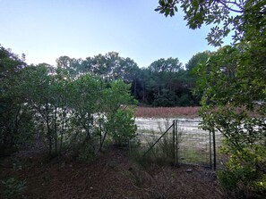 Miscellaneous - Charming Villa with Large Garden near Forest & Ocean in Le Canon, Cap-Ferret (Lège-Cap-Ferret)