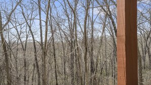 Interior - Jetted Tub, Fireplace, Resort Amenities - Relax at StoneBridge Village! (Reeds Spring)