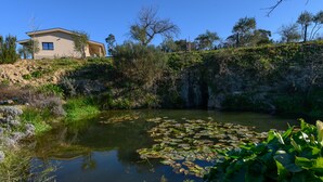 A house with a large window and a view of a pond with lily pads. - Laje da Bica Agroturismo (Covilha)