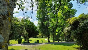 Un parque exuberante con un césped bien cuidado, diversidad de árboles y cielo despejado.