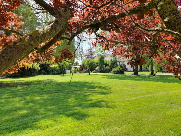 Property grounds