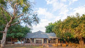 Cafetera y tetera, tetera eléctrica y periquera