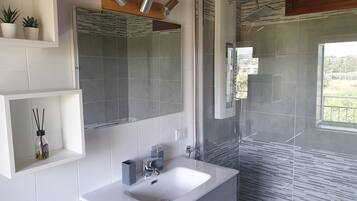 Shower, hair dryer, bidet, towels