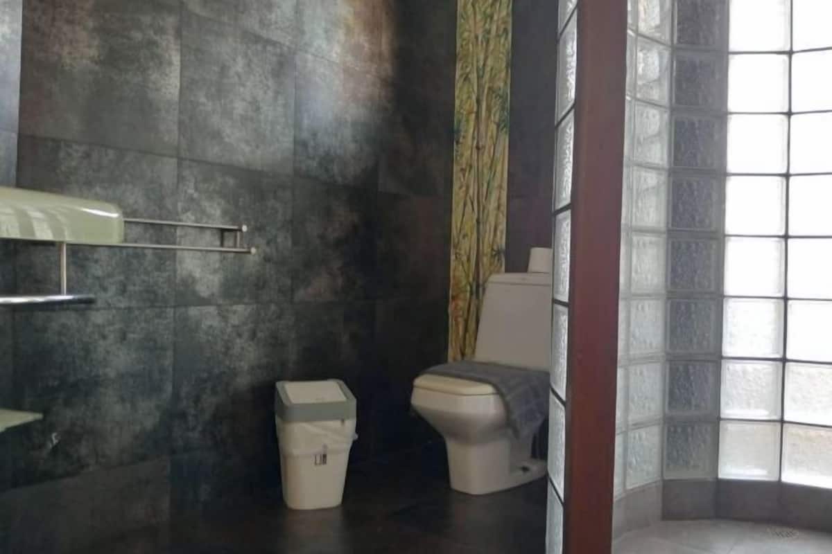Baño | Regadera, regadera tipo lluvia, secadora de cabello, jabón