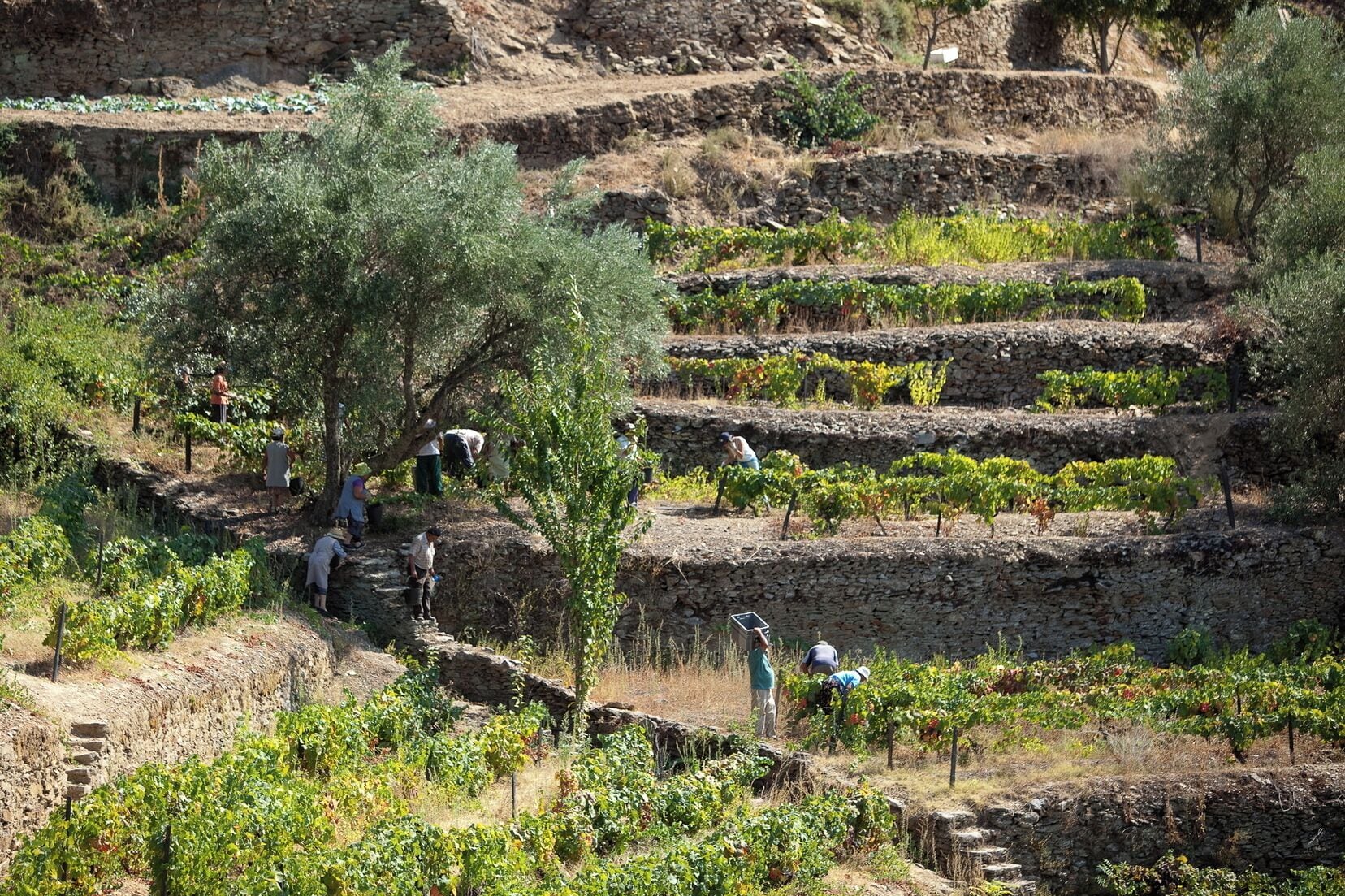 Ngoại thất