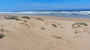 Una spiaggia sabbiosa con poca vegetazione e impronte.