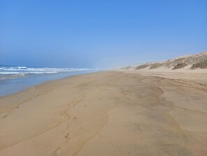 Plage, chaises longues
