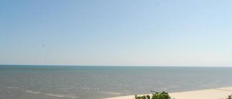 A view of a beach with a clear sky and a road in the foreground.
