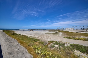 On the beach - Seaside Serenity: Enjoy Ocean Views from Your Patio! (Oceanside)