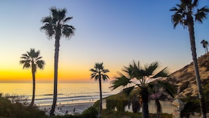 A beach with palm trees and a sunset. - Enchanting Oasis Stunning Luxury Oceanfront Condo -180° Ocean Views + Pool (Solana Beach)