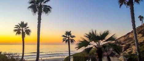 A beach with palm trees and a sunset.