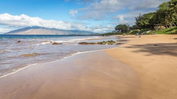 A beach with a mountain in the background, clear skies, and some trees. - Oceanview Newly Remodeled Across from Kamaole 3 Beach (Kihei)