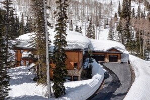 Un lodge con un vialetto curvo, immerso tra alberi innevati e uno sfondo montuoso.