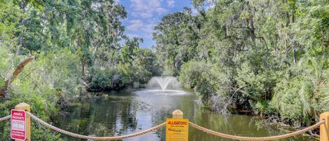 A private property with a rope barrier and signs indicating no fishing and alligators may be present.