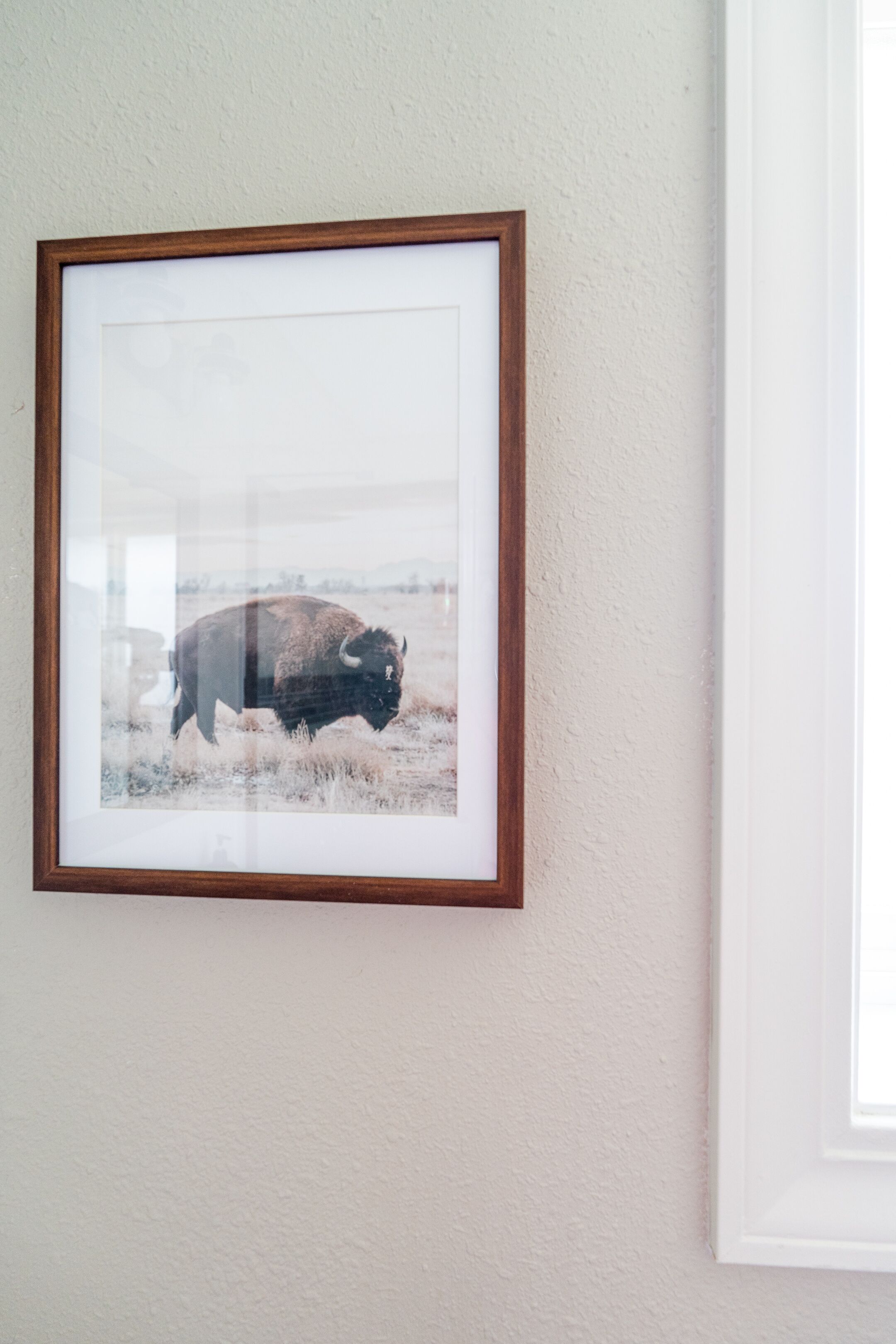 A framed picture of a bison on a wall.