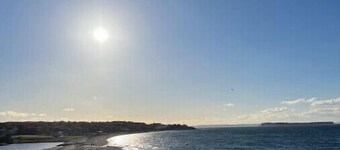 Blueberry Biscuit Home - Jelly Bean Row