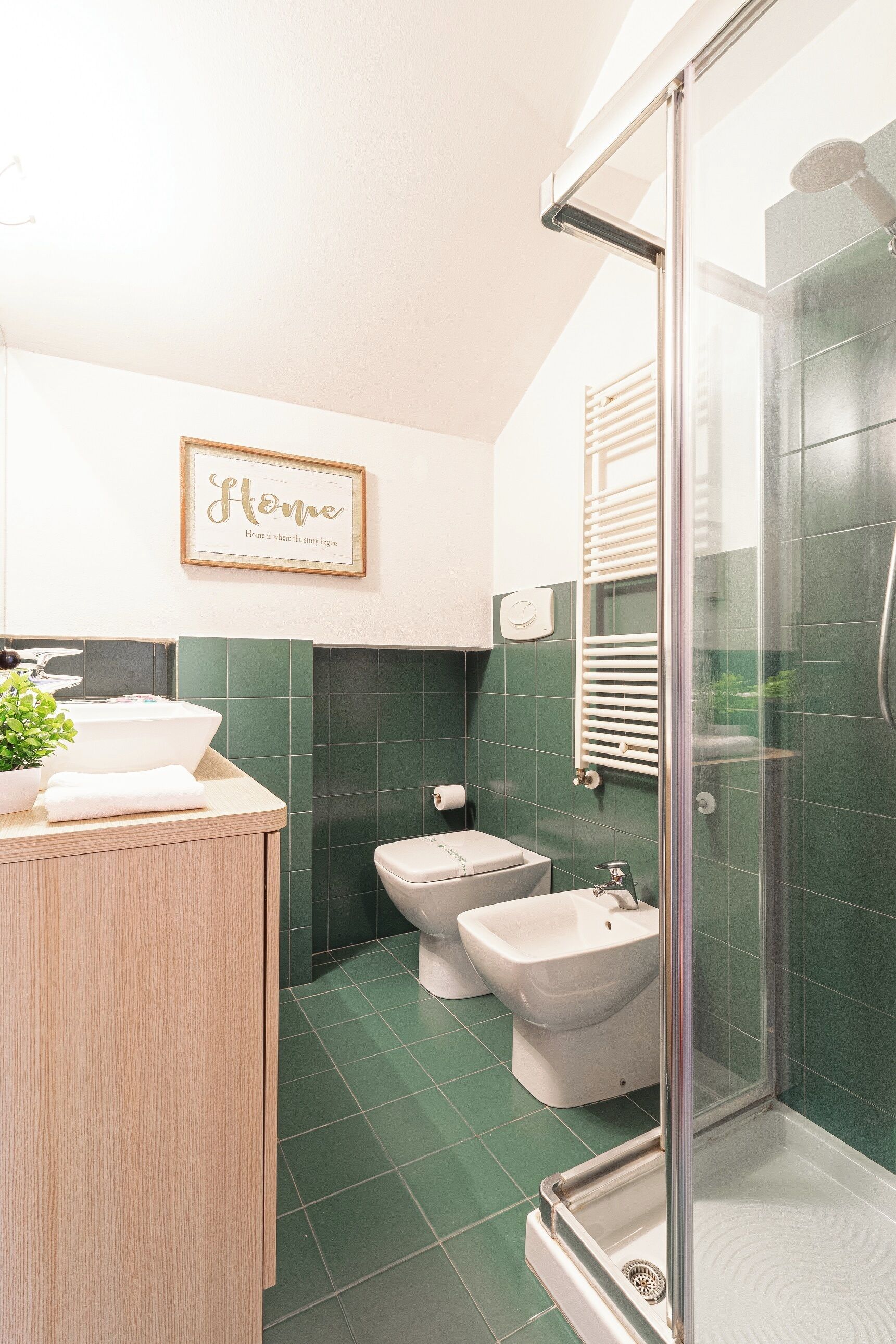 A bathroom with a shower, bidet, and sink.