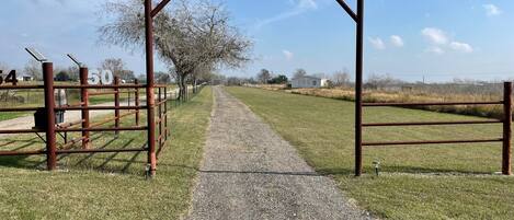 A gravel path leading through a fenced area with metal gates, trees, and a clear sky.