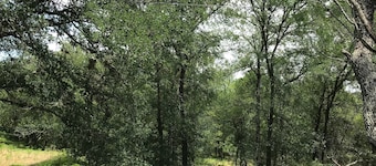 The Cabin at Spencer Ranch. 