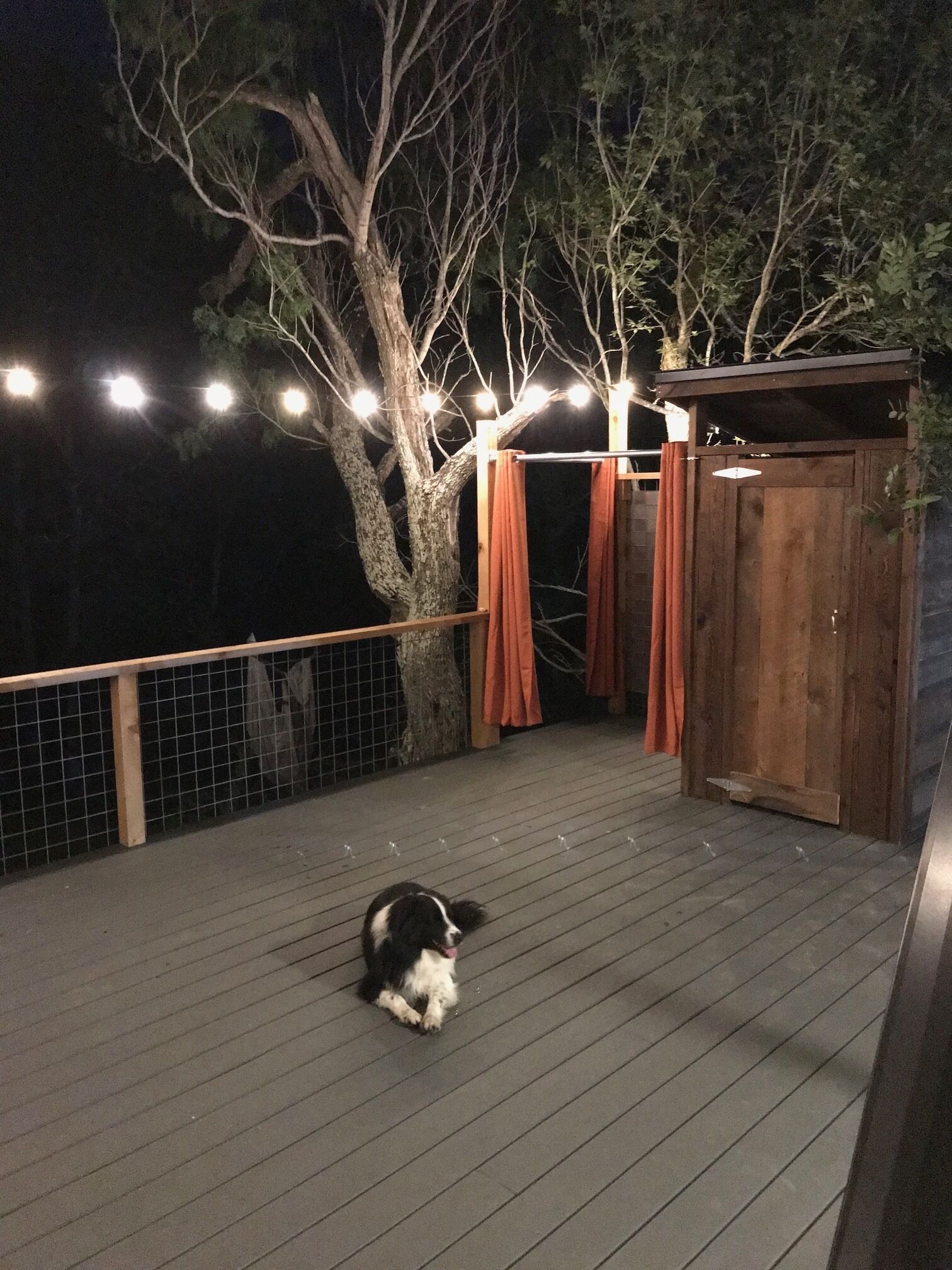 Eine Holzterrasse mit Hund, Lichterketten und einer Holzkonstruktion.