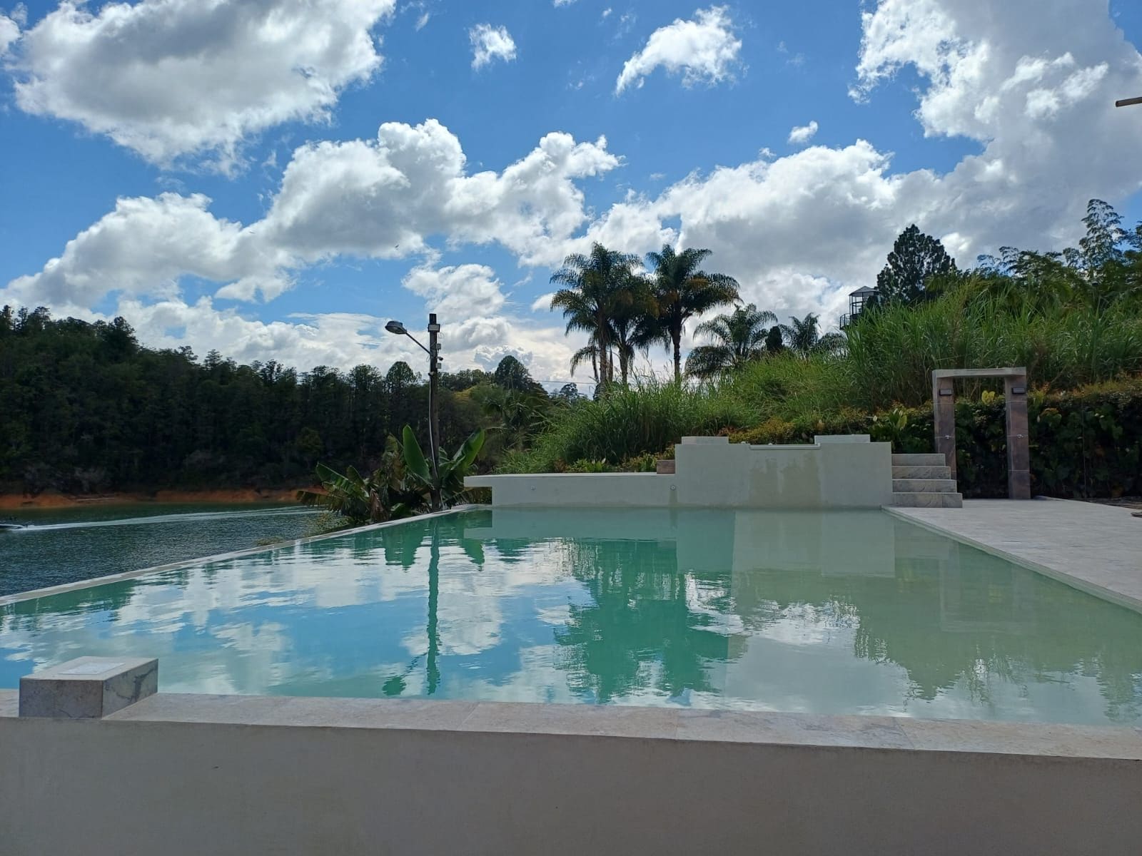 A swimming pool with a clear sky and palm trees in the background.