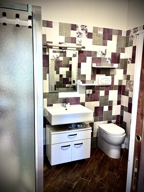 Shower, hair dryer, bidet, towels