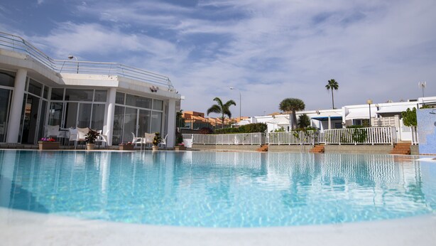 Une piscine sous un ciel bleu azur, un espace détente abrité avec des chaises blanches, et des palmiers en arrière-plan.