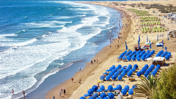 A beach with rows of blue umbrellas and beach chairs, a sandy shore, and the ocean.