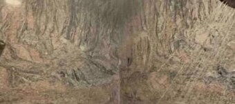 White Alpacas - Super Clean & Budget Guesthome