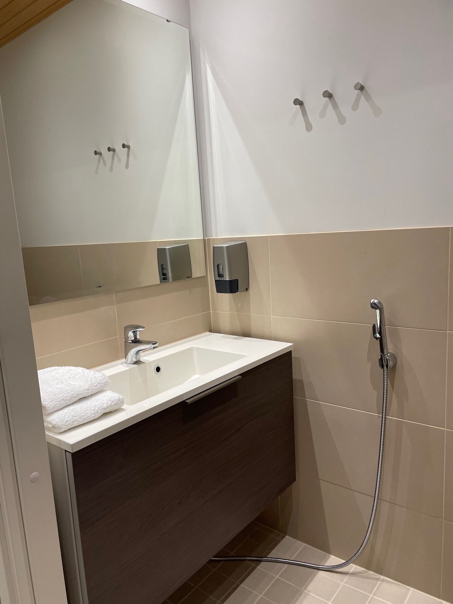 A modern bathroom with a white sink, dark wood vanity, a large mirror, and a shower with a handheld hose.