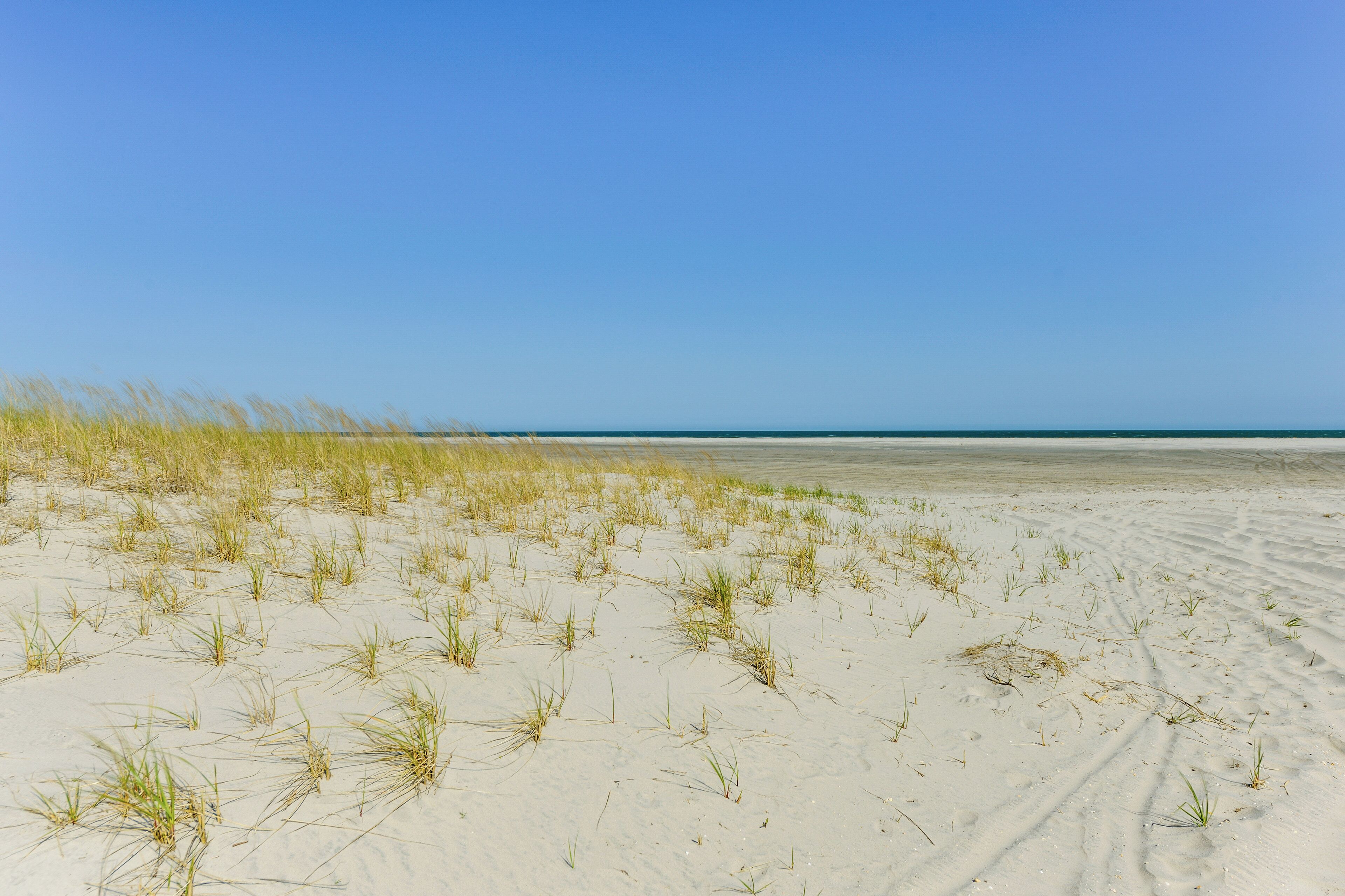 På stranden