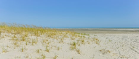 On the beach