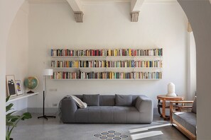 TV connectée, cheminée, livres, chaîne hi-fi