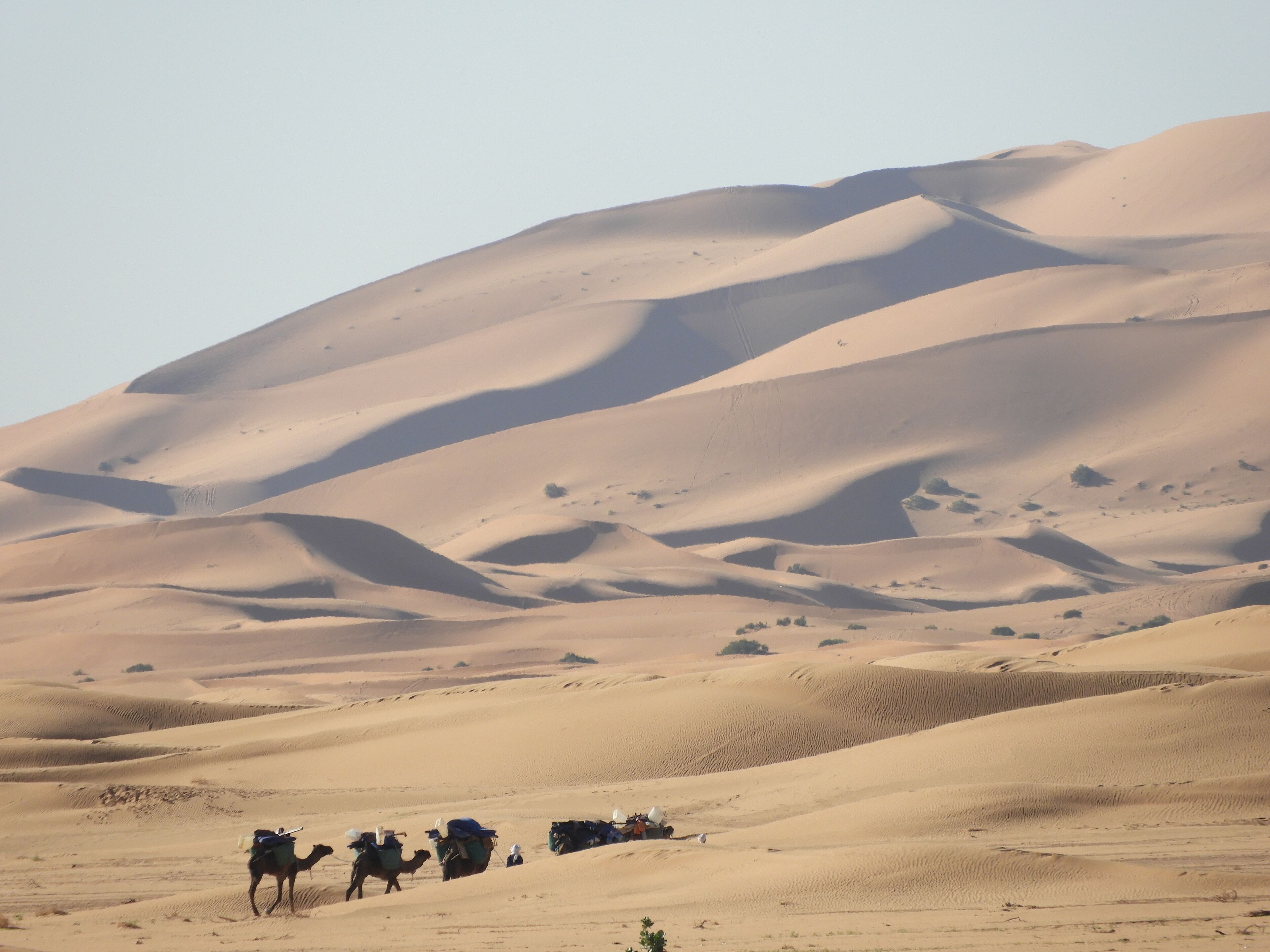 A desert landscape with sand dunes and camels.