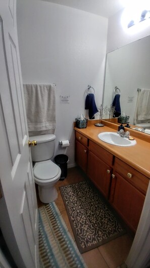 Une salle de bain avec des toilettes, un lavabo et un miroir. Des serviettes sont accrochées au mur et il y a un tapis sur le sol.