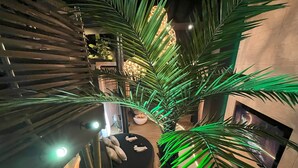 Un intérieur moderne avec un espace salon central entouré de grandes feuilles de palmier vertes, d’un banc circulaire et d’un luminaire fixé au mur.