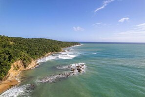 Uklassifisert bilde, 4 av 121, knapp