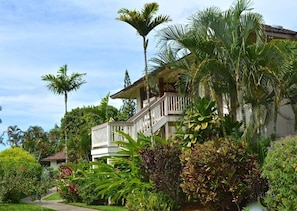 A two-story building with a balcony, surrounded by lush tropical vegetation.