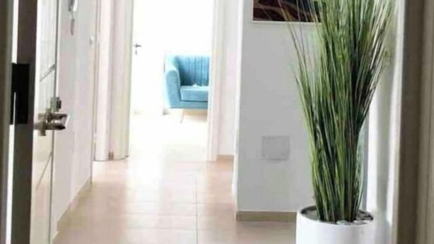 A hallway with a potted plant, a blue chair, and a painting on the wall. - Superbe Appartement Familial à Hammamet Nord! (Nabeul‎)