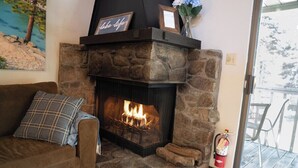 Smart TV, chimenea, reproductor de DVD y libros