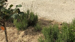 A gravel driveway leading to a building with a covered patio area. - Une Longere de la Puisaye en Fond Dimpasse Avec Parc Apaisant (La Ferté-Loupière)