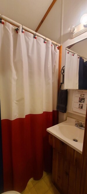 Ensemble douche/baignoire, serviettes fournies