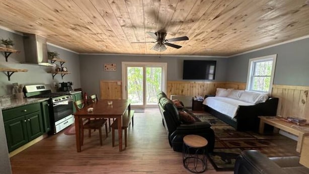 Unclassified image, 1 of 17, button - Rail Trail Retreat! Recently remodeled cozy home on Snowmobile/ATV Trail! (Dexter)