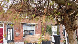A brick building with a red door, a bench, and planters. - Cozy home St. Philipsland with 2 bathr. (business) (Sint Philipsland)